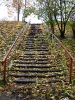 Лестница в листьях