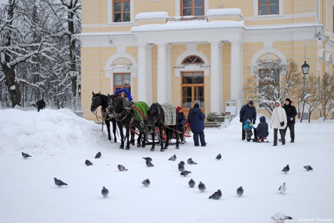 Тройка лошадей и голуби